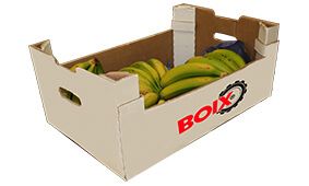 Packagins Solutions - Caja para Plátanos