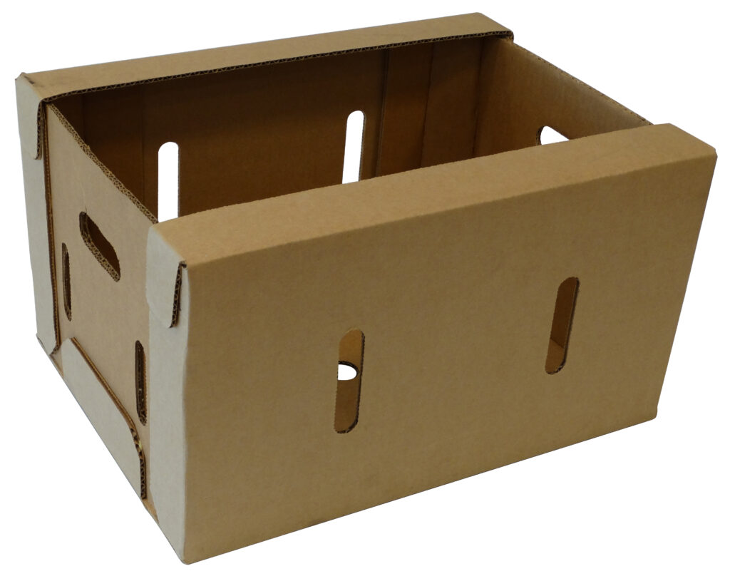 Caja Bliss-12 -