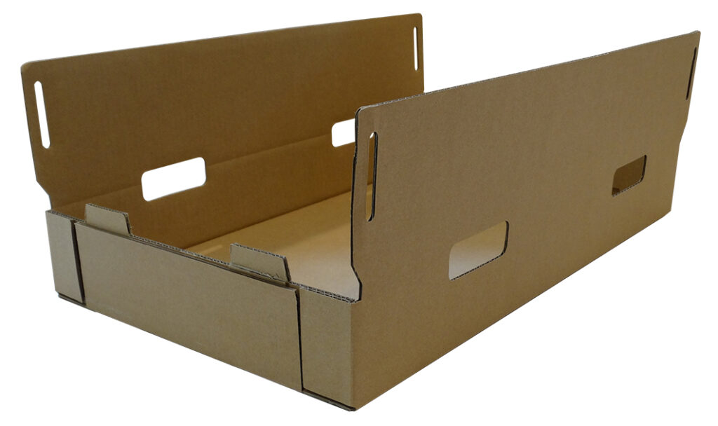 Caja Bliss-31 -