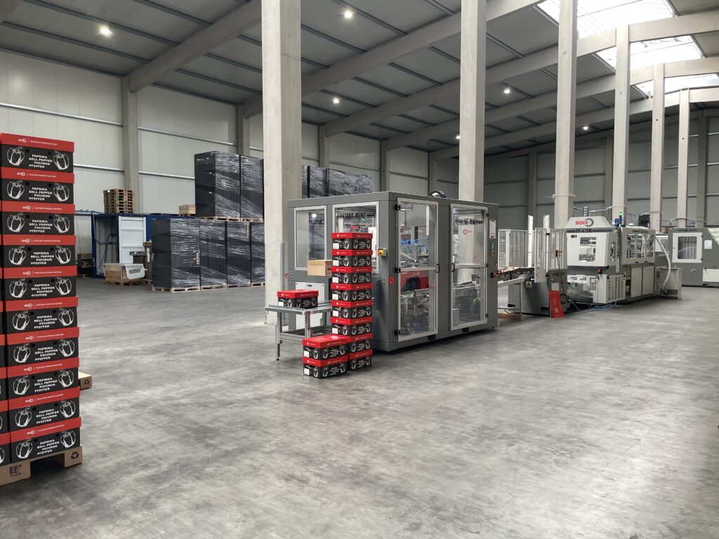 Boix machines: HAT MINI, FP-4/2M, cardboard boxes